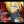 fullmetal crazzy