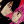 sasoriofredsand