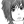 maruune